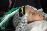 همايش شيرخوارگان حسيني - سمنان
