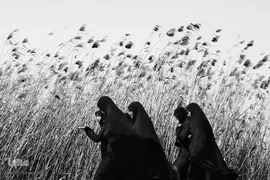 دیار نزدیک، مجموعه‌ای که ارادت و اشتیاق مردم به قهرمانان هشت ساله جنگ تحمیلی را به نمایش می‌گذارد.