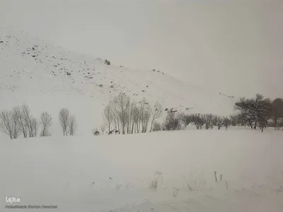 طبیعت برفی مناطق شهری و روستایی اهر