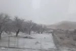 سفیدپوش شدن ارتفاعات اهر