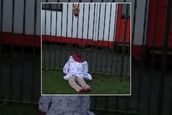 হল্যান্ডের মসজিদে ইসলাম বিরোধী ব্যানার