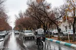 بارش اولین برف زمستانی رخت سفید بر تن ییلاقات استان یزد