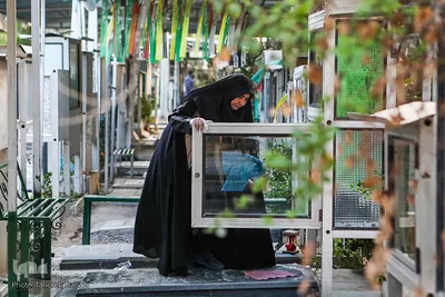 آخرین پنج‌شنبه قرن در گلزار شهدای بهشت زهرا (س)
