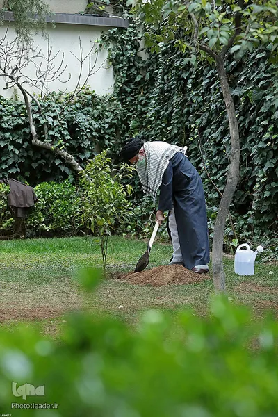 کاشت دو نهال میوه توسط رهبر معظم انقلاب