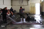 قالیشویی‌ در آستانه عید نوروز/عکاس:پریسا بهزادی