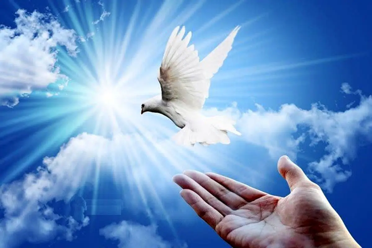 ۱۰۴ چراغ امید در خانه‌ البرزی‌ها روشن شد
