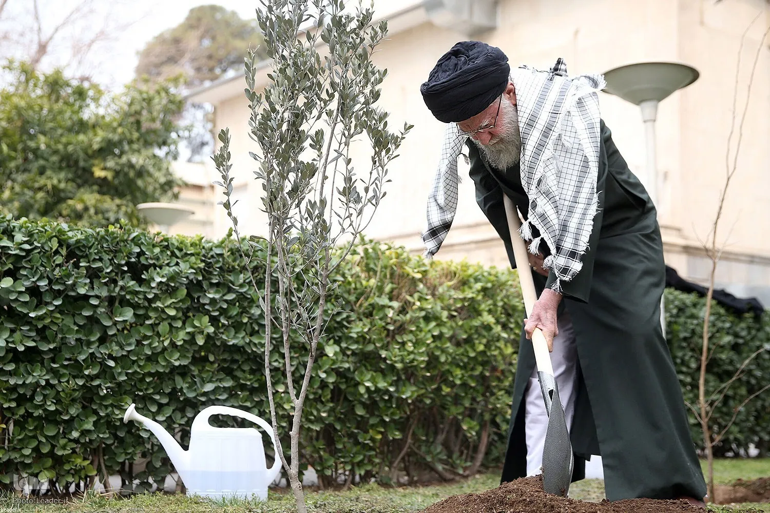 El ayatolá Jamenei planta un olivo en solidaridad con Palestina (+FOTOS)