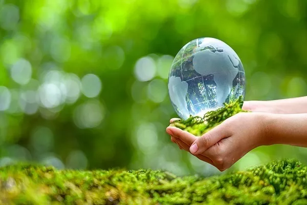 Erudito islámico: el Islam concede gran importancia a la protección del medio ambiente