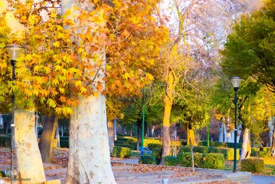پاییز هزار رنگ ملایر