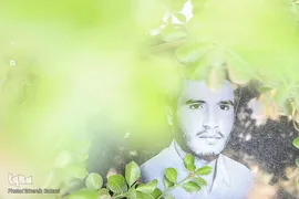 روایت نور و شهدا