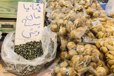 جشنواره ملی اقوام ایرانی_اراک