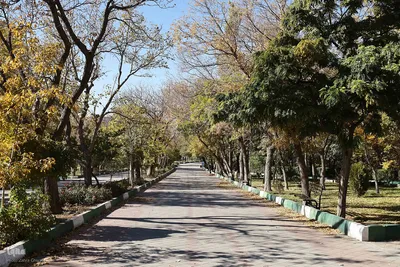 طبیعت پاییزی تبریز