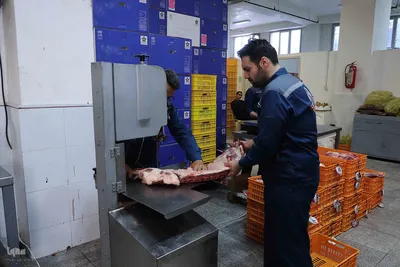 ذبح و توزیع گوشت قربانی بین نیازمندان در تبریز