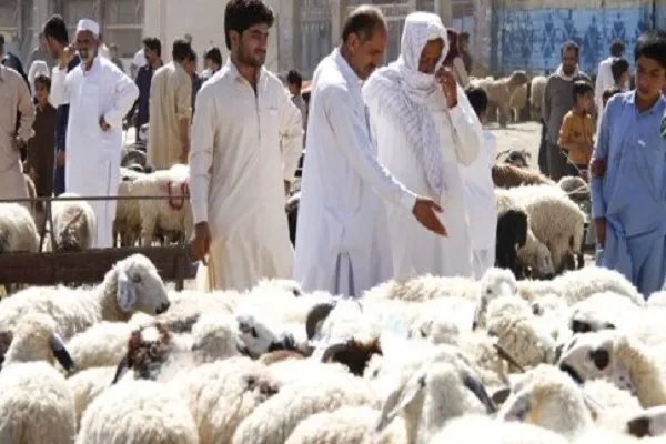 مخالفت سازمان اسلامی اندونزی با پرداخت صدقه به جای ذبح قربانی