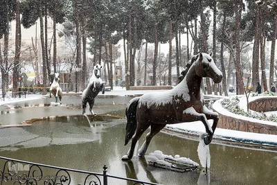 کرج سپید پوش شد‎