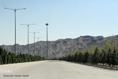مراسم روز درختکاری در یزد
