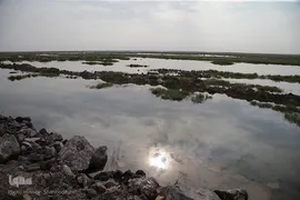 روز قم