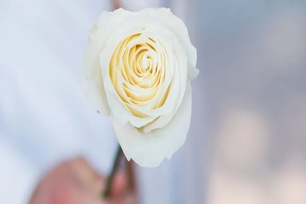 المداراة من أخلاق المؤمنين