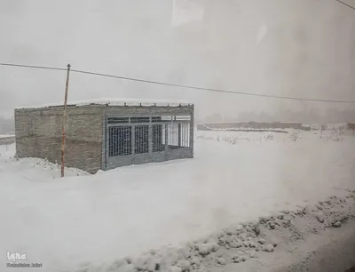 تداوم بارش برف و برودت هوا در شهرستان اهر