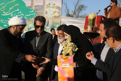 برگزاری هشتمین جشنواره گل نرگس کازرون فارس