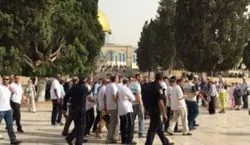 121 coloni invadono la moschea di al-Aqsa sotto protezione della polizia israeliana