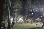 یک شب سرد پاییزی در پارک شیخ شهاب‌الدین اهری