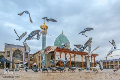 6 ذی القعده بزرگداشت میلاد حضرت احمدبن موسی شاهچراغ (ع)‎‎