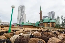 Как пройдёт Курбан-байрам в городах и районах Татарстана?