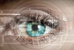 Un physicien musulman à l’origine de la découverte du fonctionnement de la vision humaine
