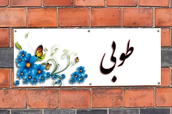 اجرای طرح استعدادیابی طوبی 3 از سوی مؤسسه رضوان تهران