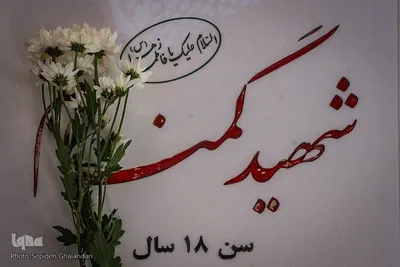 تجدید میثاق جهادگران خراسان جنوبی با شهدا