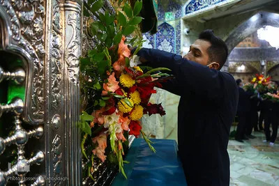 Jahrestag der Ankunft von Fatima Masuma (sa.) in Qom