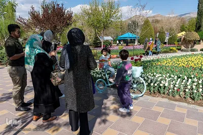نهمین جشنواره لاله کرج