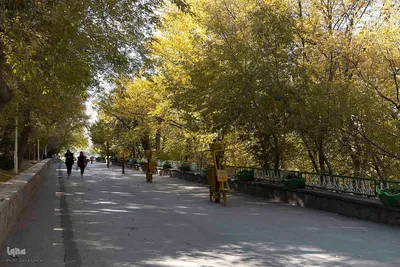 طبیعت پاییزی تبریز
