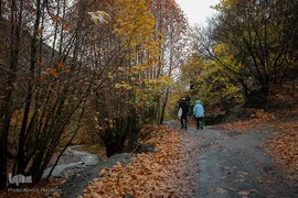 پاییز در جاغرق
