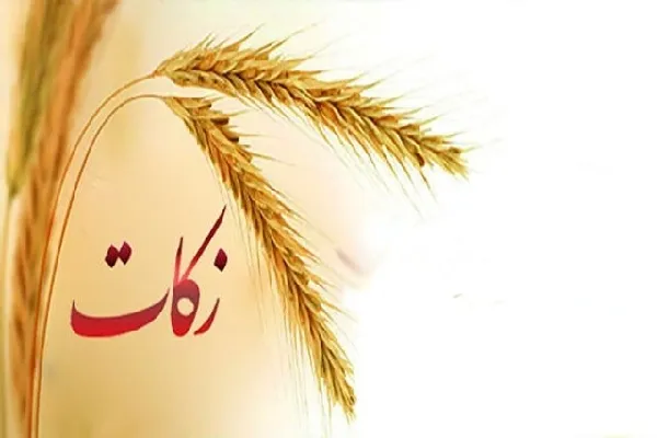 راه‌اندازی سامانه کسر هوشمند زکات در چهارمحال‌وبختیاری