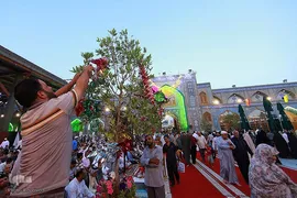 حرم مطهر و نورانی امام موسی کاظم (ع) در شهر کاظمین عراق