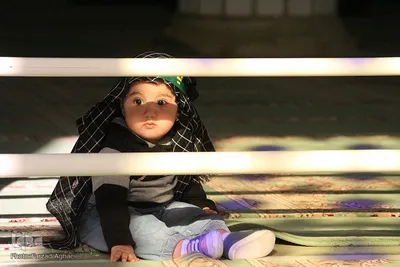 ​مراسم شیرخوراگان حسینی در تبریز
