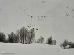طبیعت برفی مناطق شهری و روستایی اهر