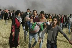  Israeli Killing of Gazans Preplanned: Iran's UN Envoy