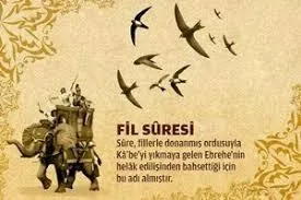 Fil suresi ve kuşların gösterdiği ilahi kudret