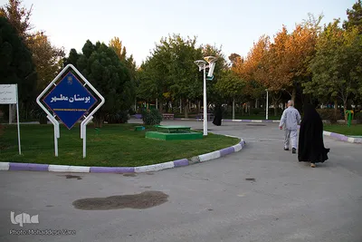 آقای دهقان و همسرش صبح را با ورزش کردن در «بوستان مطهر» آغاز می کنند.