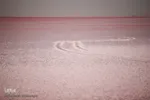دریاچه نمک حوض سلطان به رنگ سرخ
