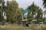 ویژه برنامه ماه مبارک رمضان در دارالسلام شیراز ‎‎