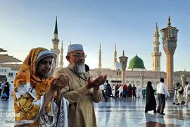 زائران بین‌المللی مدینه پیش از اعزام به مکه 