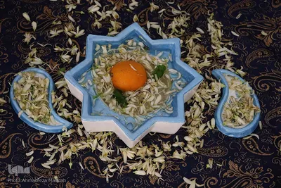 بهار نارنج شیراز