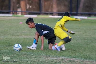 قهرمانان بزرگ، نان آوران کوچک