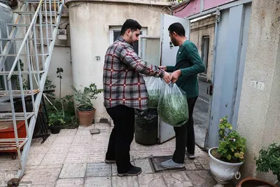 یا علی گفتیم و عشق آغاز شد