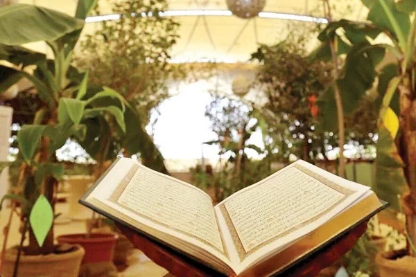 بوستان قرآنی قطر؛ حافظ گونه‌های متنوع گیاهی