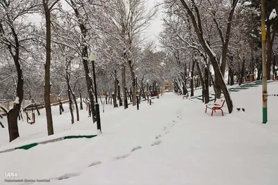 برف زمستانی در اهر